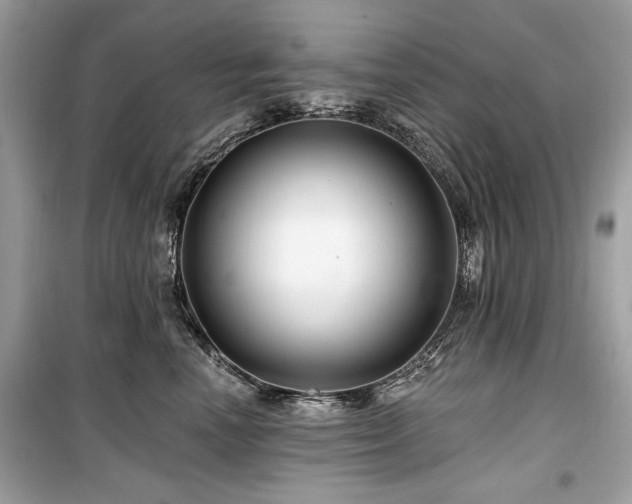 X0000099560666200805161454