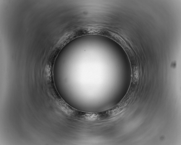 X0000099560667200805161454