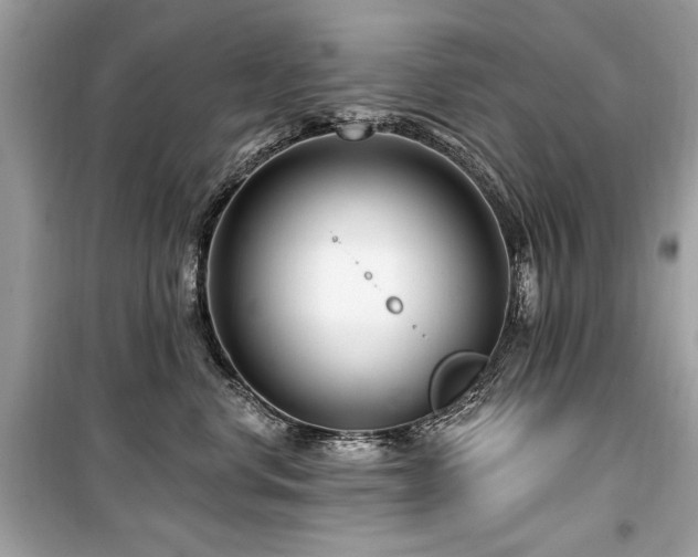 X0000099560668200805161454