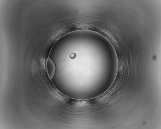 X0000099560669200805161454