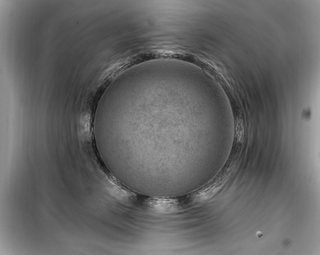 X0000099560670200805161454