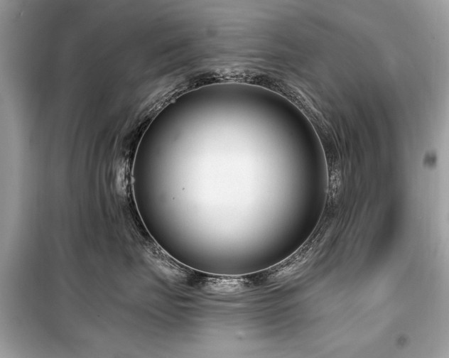 X0000099560671200805161454