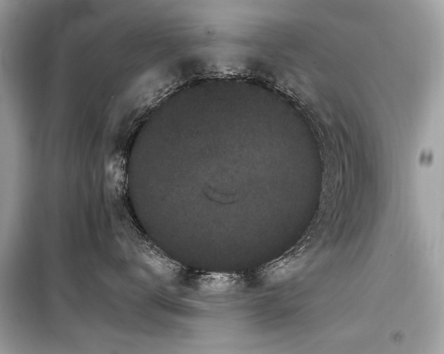 X0000099560672200805161454