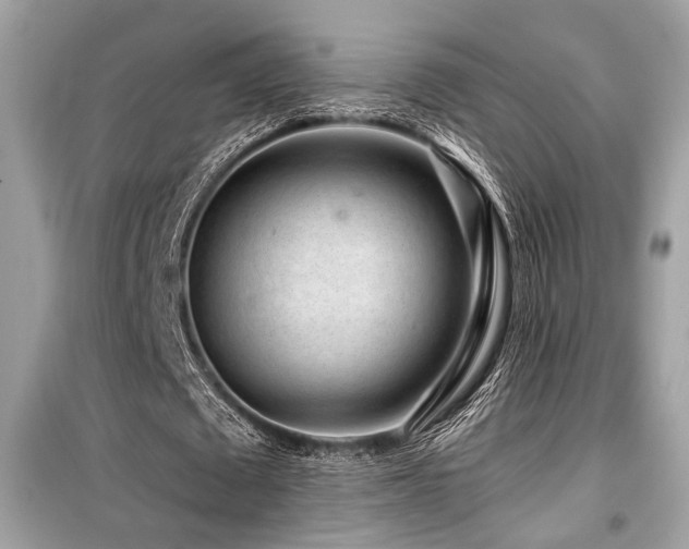 X0000099560673200805161453