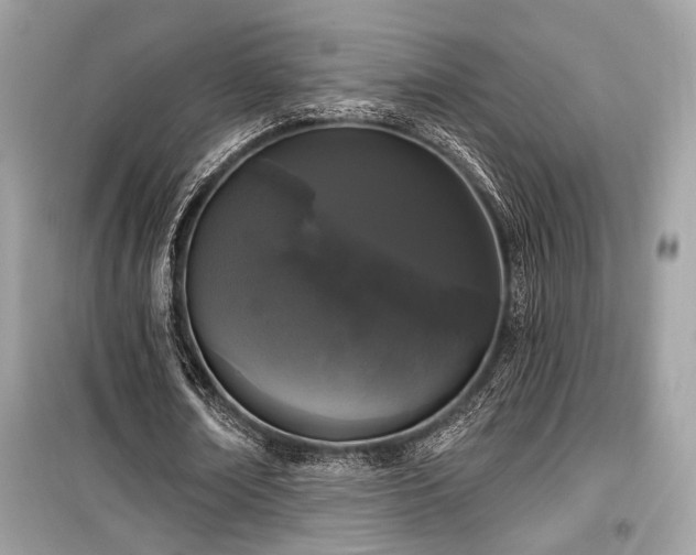 X0000099560674200805161453