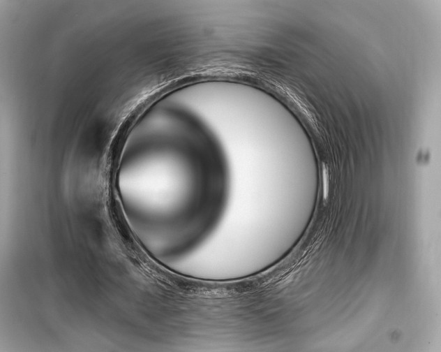 X0000099560675200805161453