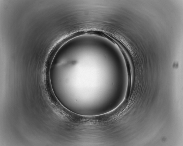 X0000099560676200805161453