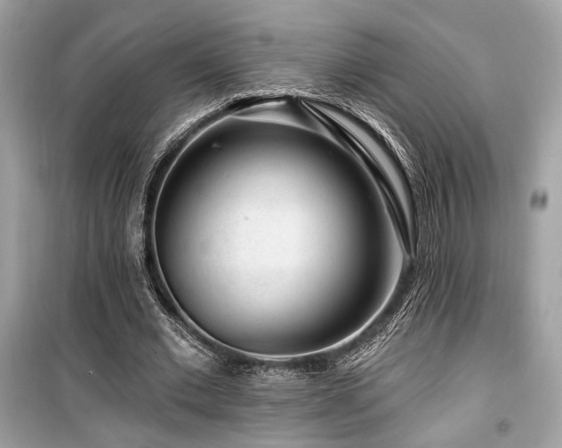 X0000099560677200805161453