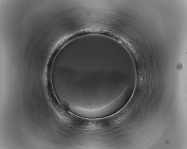 X0000099560678200805161453