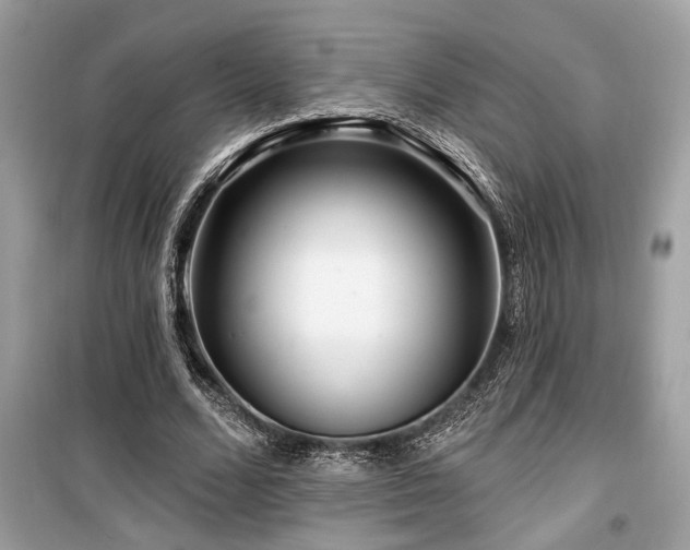 X0000099560680200805161453