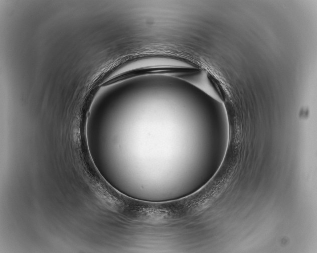 X0000099560681200805161453