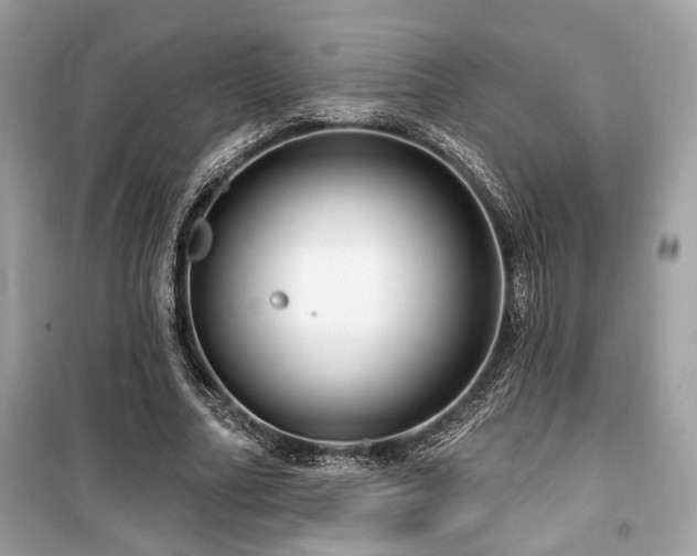 X0000099560682200805161453