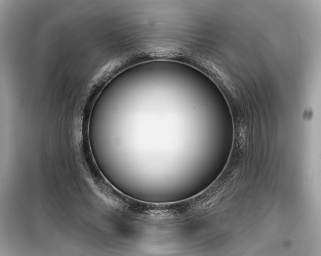 X0000099560686200805161453