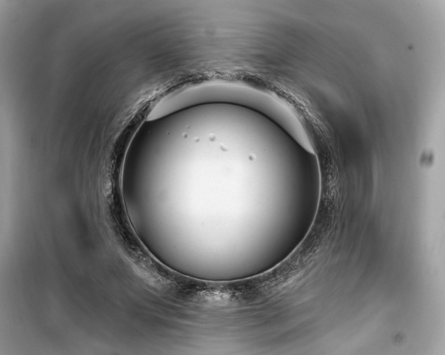 X0000099560687200805161453