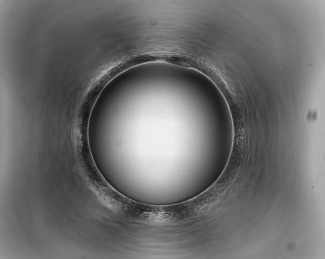 X0000099560688200805161453