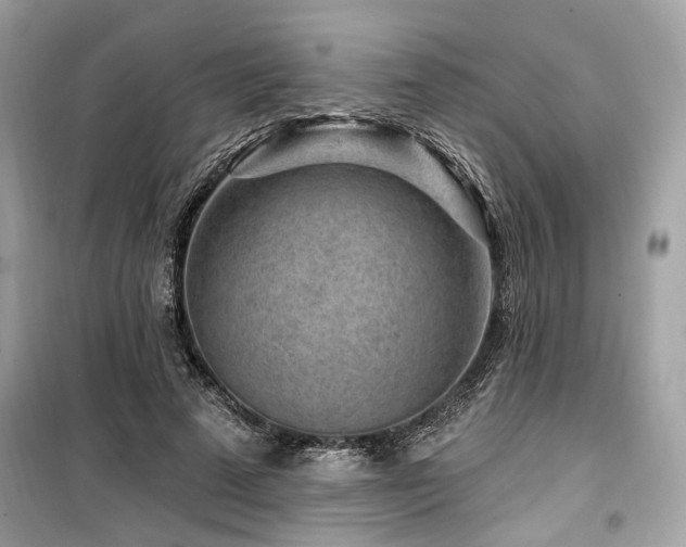 X0000099560689200805161453