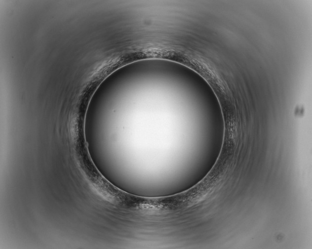 X0000099560690200805161453