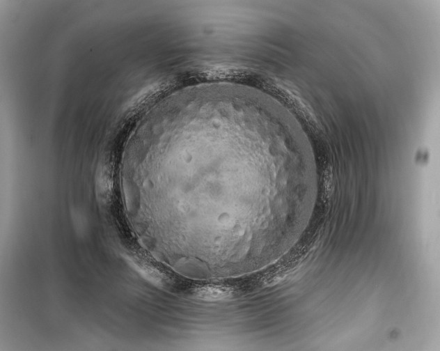 X0000099560691200805161453