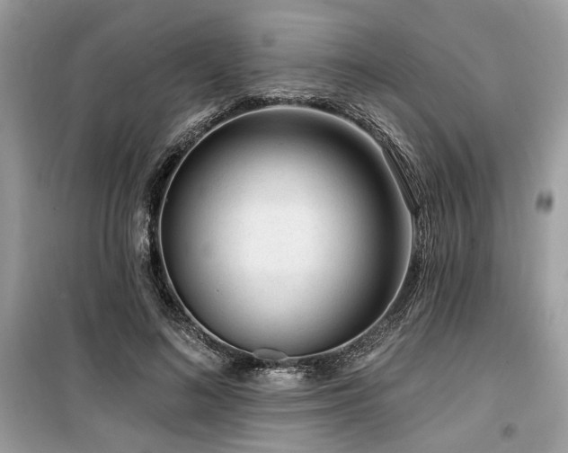 X0000099560692200805161453