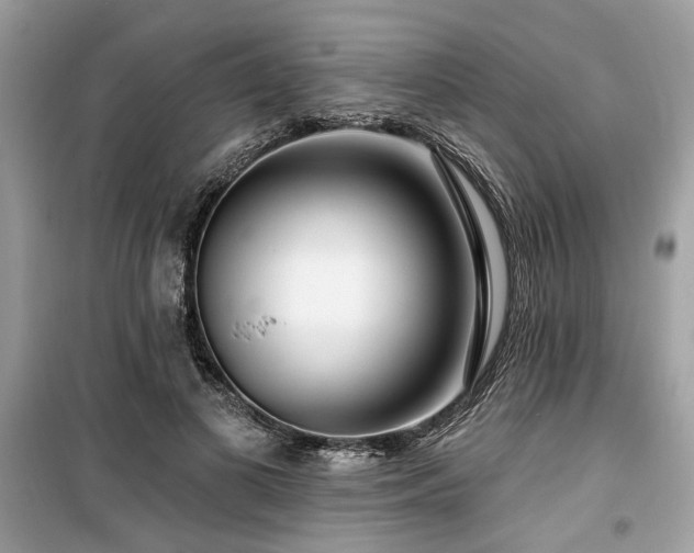 X0000099560693200805161453