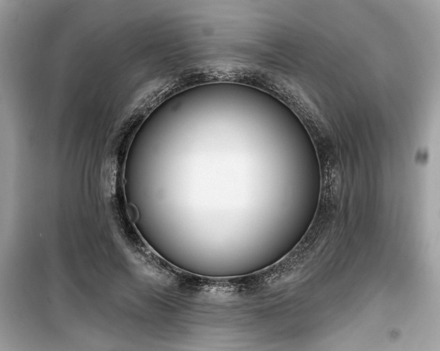 X0000099560694200805161453