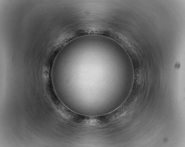 X0000099560695200805161453