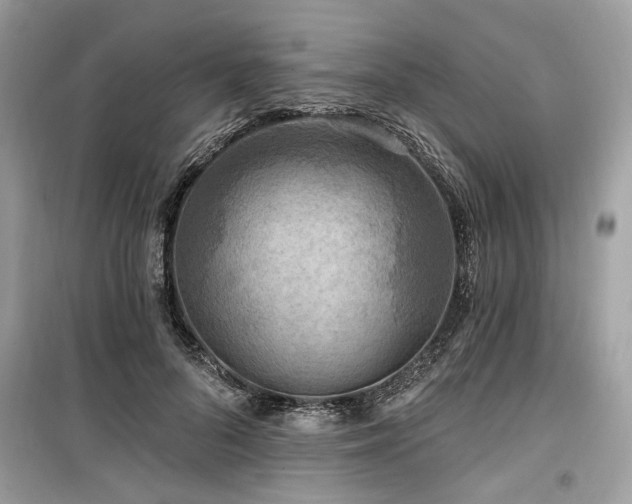 X0000099560696200805161453