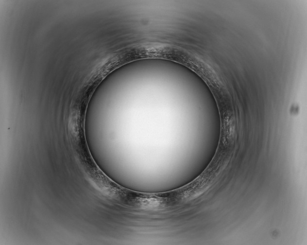 X0000099560698200805161453