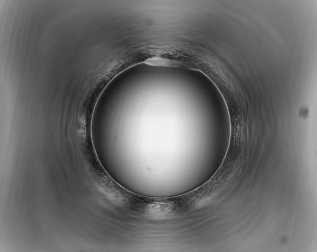 X0000099560700200805161453