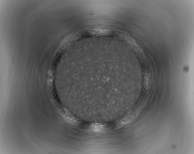 X0000099560701200805161453