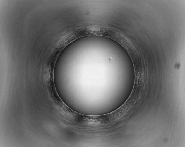 X0000099560702200805161453