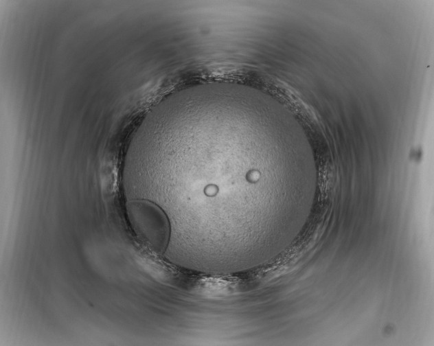 X0000099560703200805161453