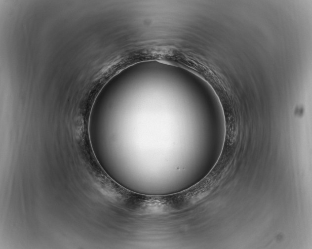 X0000099560704200805161453