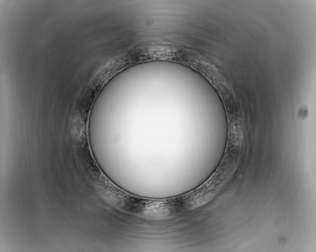 X0000099560705200805161453