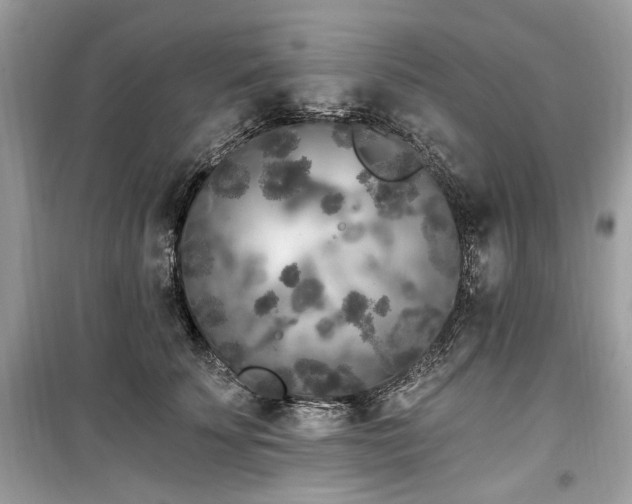 X0000099560707200805161453