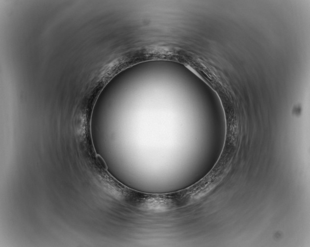 X0000099560708200805161453