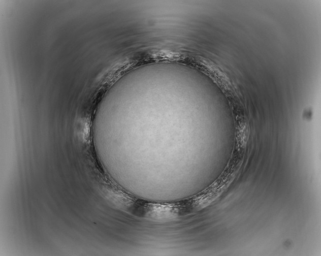 X0000099560709200805161453