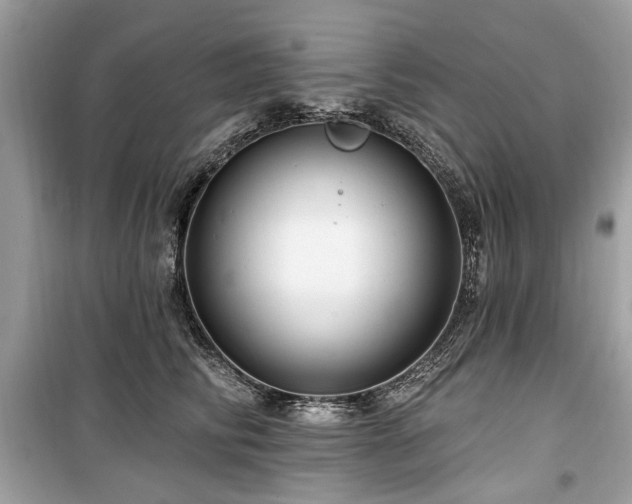 X0000099560710200805161453