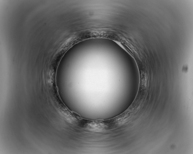 X0000099560712200805161453