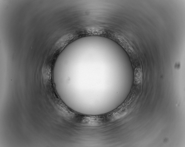 X0000099560713200805161452