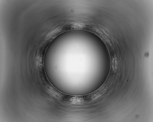 X0000099560714200805161452