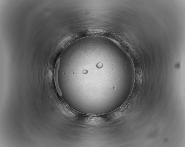 X0000099560716200805161452