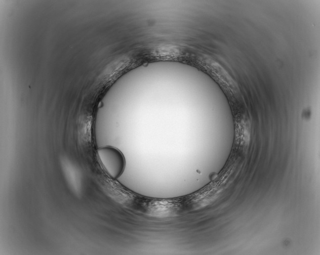 X0000099560717200805161452