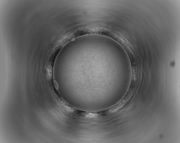 X0000099560718200805161452