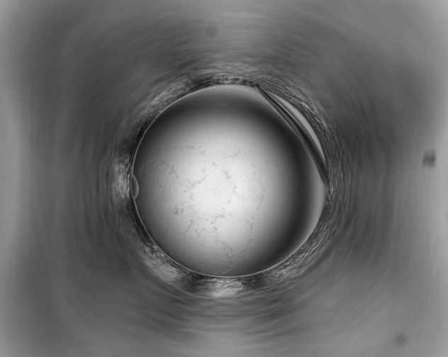 X0000099560719200805161452