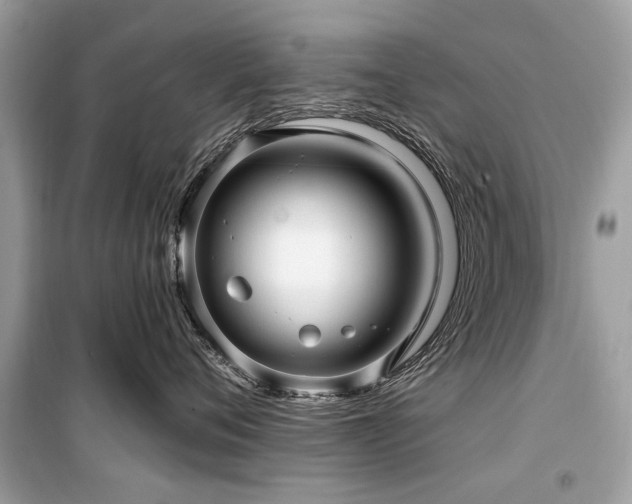 X0000099560720200805161452