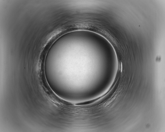 X0000099560723200805161452