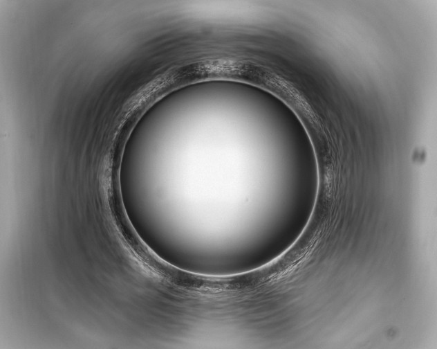 X0000099560725200805161452