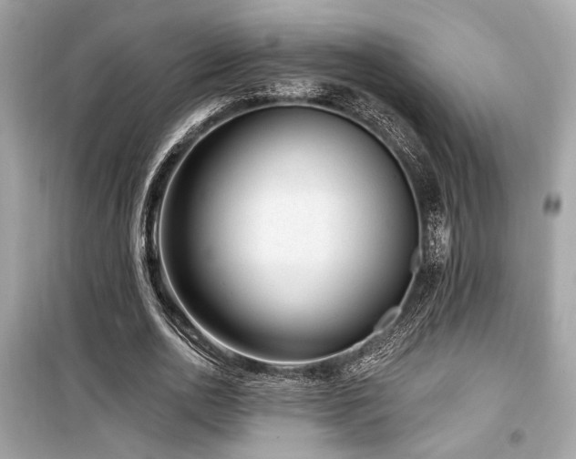 X0000099560726200805161452