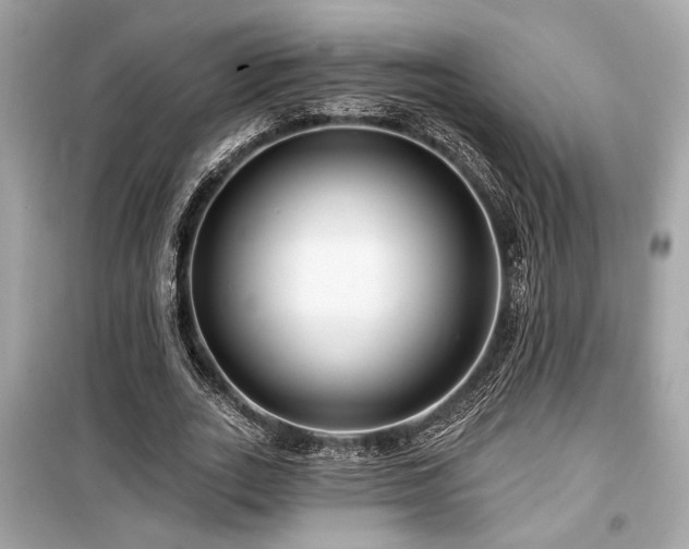 X0000099560727200805161452